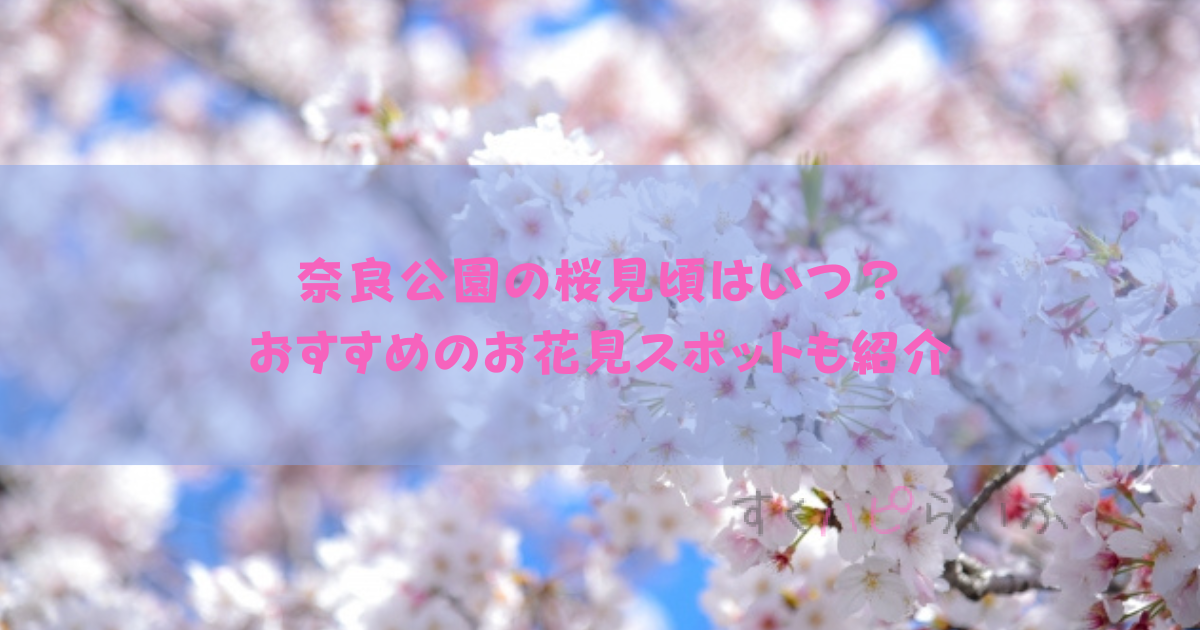 奈良公園の桜2023見頃はいつ？おすすめのお花見スポットも紹介