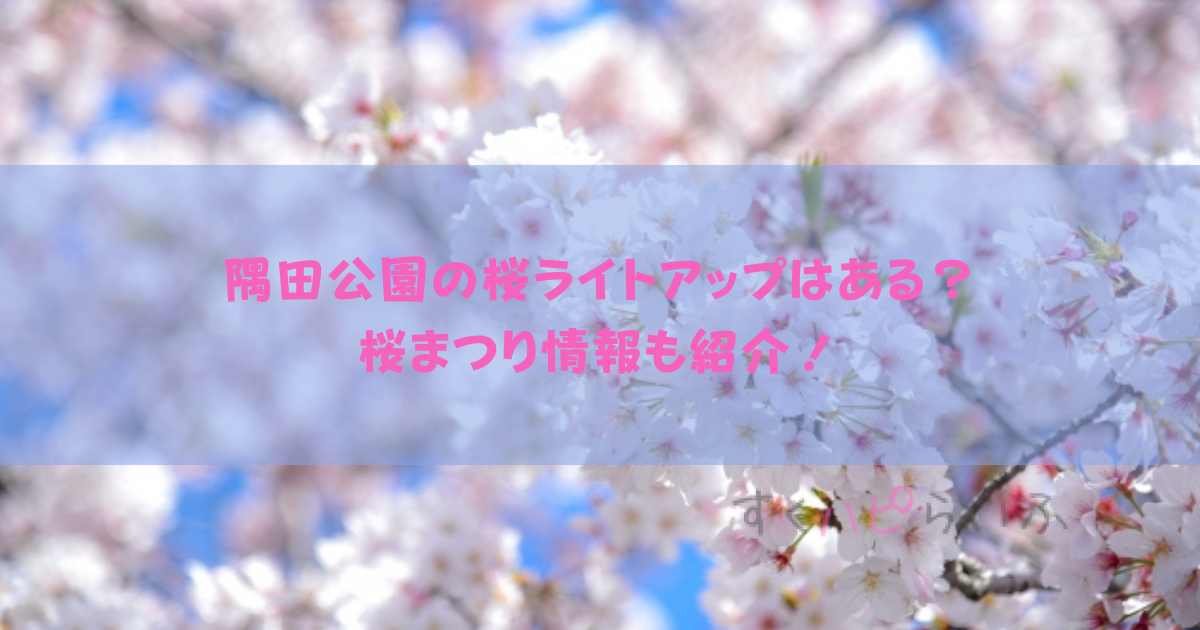 隅田公園の桜2023ライトアップはある？桜まつり情報も紹介！