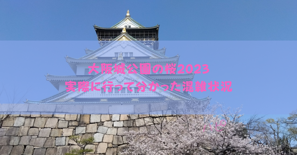 大阪城公園の桜2023混雑状況は？