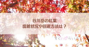 谷川岳の紅葉2023混雑状況は？回避方法や見頃についても