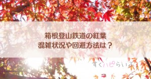 箱根登山鉄道の紅葉2023混雑状況は？回避方法についても