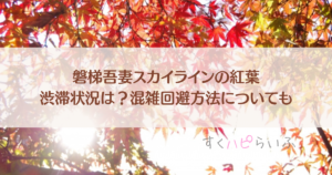 磐梯吾妻スカイラインの紅葉2023渋滞状況は？混雑回避方法や見頃についても